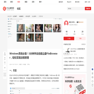 Windows系统必备！3分钟学会自建云盘FileBrowser，轻松实现远程管理_办公软件_什么值得买