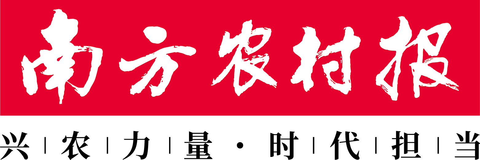 揭阳产业链“链长制”专题访谈 ——揭西茶叶点“绿”成“金” - 南方农村报